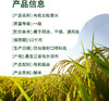 时令堂 有机长粒香米5kg袋装 商品缩略图2