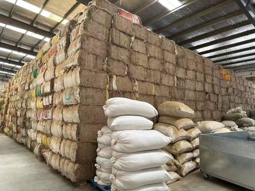 [2025]精品&陈蕲纯艾条 黄金艾条 商品图8