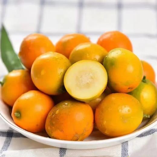 【分仓直发包邮】脆蜜金柑小果（冻伤不售后）1.5斤（小果） 商品图0
