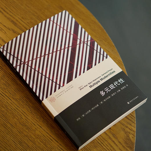 多元现代性//当代学术棱镜译丛·社会学系列 商品图3