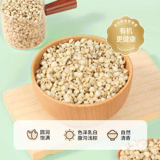 燕之坊有机薏仁贡米900g罐装贵州兴仁甄选颗粒易煮 商品图9