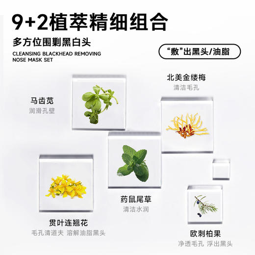 柏翠丝丨黑头导出修复鼻贴/铲套装 商品图12