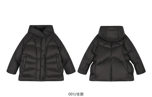 jnby  24年冬款  中长款鹅绒服   1OAC11180 商品图12
