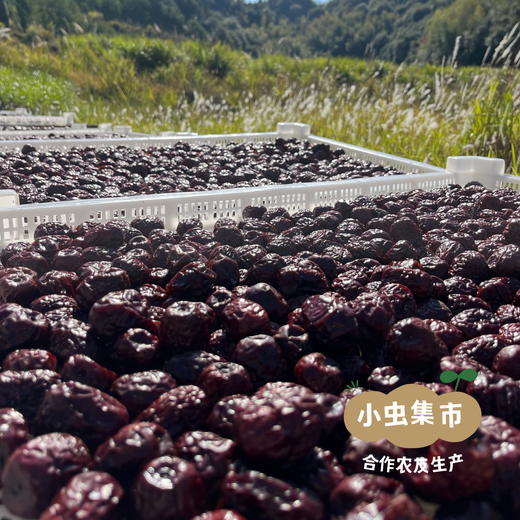 生态古法三蒸三晒枣 200g/罐 | 合作农友生产，来自河北石家庄，生产者：张彦敏 *【公平贸易农人定价】 商品图8