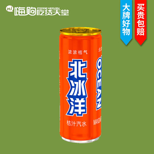 北冰洋桔汁汽水330ml（8A)(Z) 商品图0