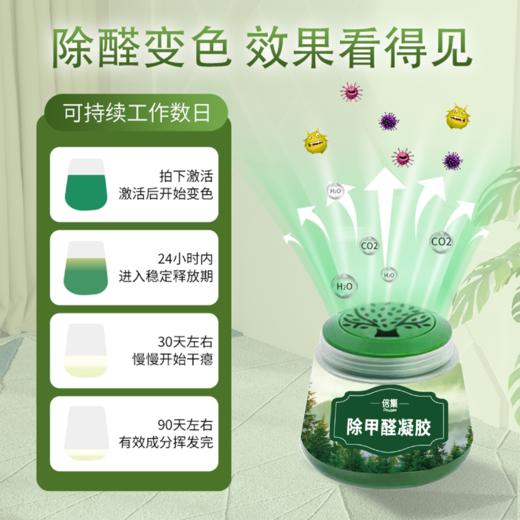 倍集除甲醛凝胶 植物配方新房急入住 家用新车强力去甲醛 商品图3