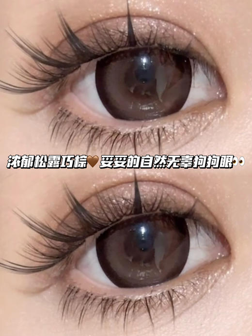 Amber 琥珀松露巧棕·半年抛型 商品图0