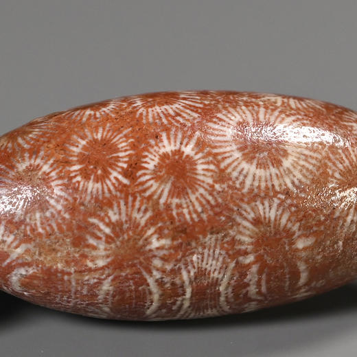 远古生物化石珠+古罗马压花琉璃珠项链 商品图4