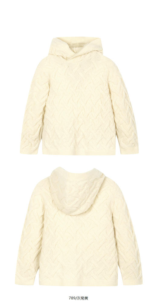 jnby  24年冬款  长袖套头毛衫  1OA310890 商品图9