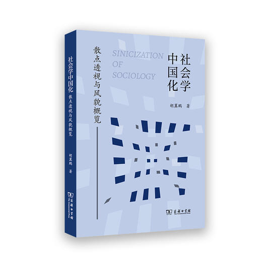 社会学中国化：散点透视与风貌概览 商品图0