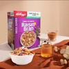 加拿大Kellogg's Raisin Bra提子干麦麸片1.44kg #天津仓 商品缩略图1