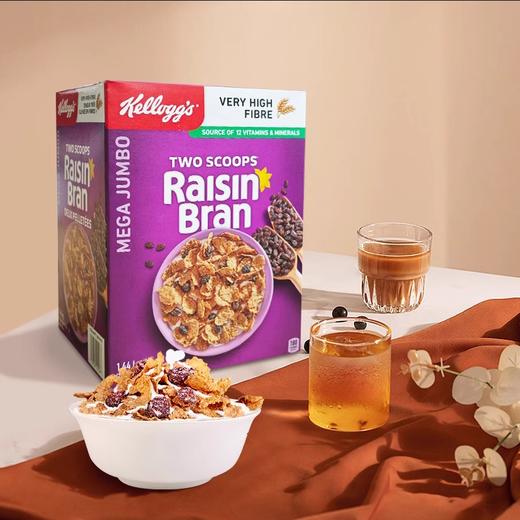加拿大Kellogg's Raisin Bra提子干麦麸片1.44kg #天津仓 商品图1