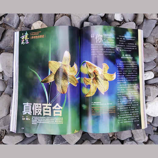 《中国国家地理》2026年12期（共12本）征订 商品图8