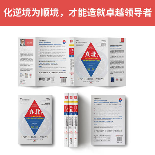 真北2：151位全球顶尖领袖在挑战与磨砺中的内心独白 商品图3