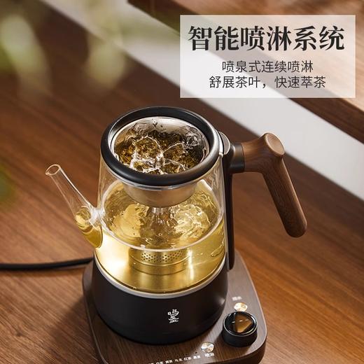 鸣盏喷淋式蒸汽煮茶器家用电茶炉养生茶壶全自动办公室黑茶烧水壶鸣盏-智能喷泉煮茶器700ml 商品图1