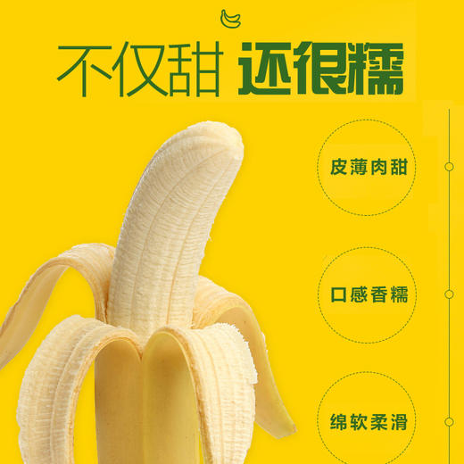 【鲜泽园】云南新鲜香蕉 泡沫箱包装 商品图3