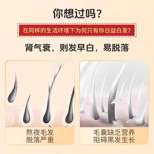 【十黑膏】 商品图2