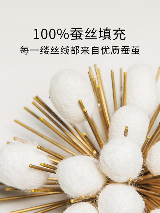 【定制款 蚕丝被】专柜同款蚕花娘娘蚕丝被春秋被双人被2斤4斤理想格【蚕丝被每条下单后定制，无质量问题不支持退换货哦】 商品图1