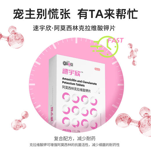 新宠之康速宇欣阿莫西林克拉维酸钾 广谱消炎药 猫鼻支 感冒咳嗽 犬猫通用 商品图3