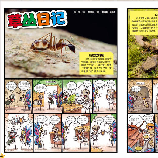 《少年科学画报》12期征订 商品图10