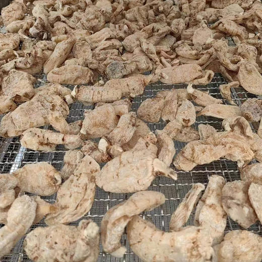 【西藏波密野生天麻】正宗西藏林芝也是天麻干货250 商品图4