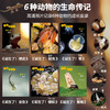 生命的故事（第五辑·全六册）昆虫科普百科 商品缩略图3