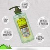 黛丝恩 滋润亮泽型植萃洗发水(绿) 480ml/瓶 商品缩略图1