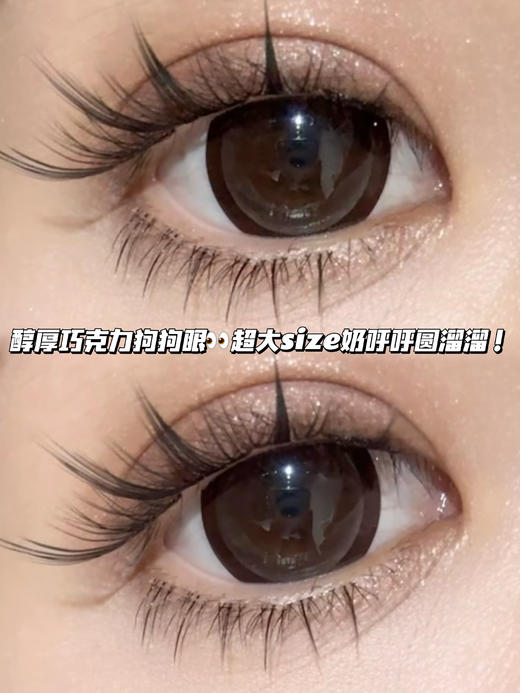 Donitz 月光巧克力·半年抛型 商品图0