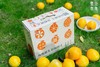 【预售】壹处市集 信橙礼盒8斤装 商品缩略图1