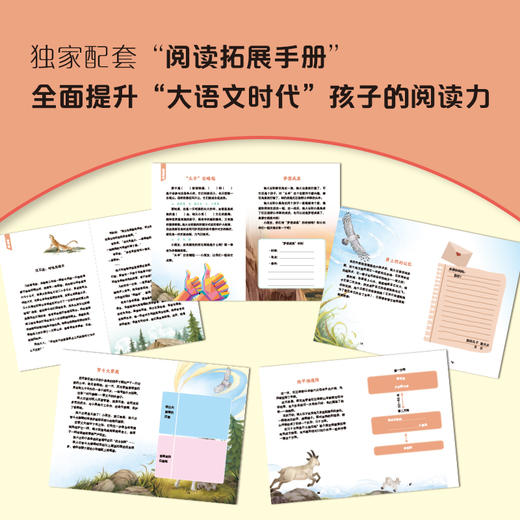 孤勇羊王之头羊崛起 注音版 沈石溪 动物小说大王 fb 安徽少年儿童出版社 商品图3