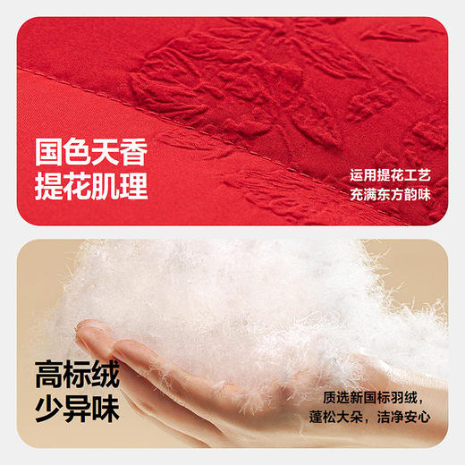 【新中式】迷你巴拉女童国风羽绒服冬新款宝宝拜年服羽绒外套 商品图3