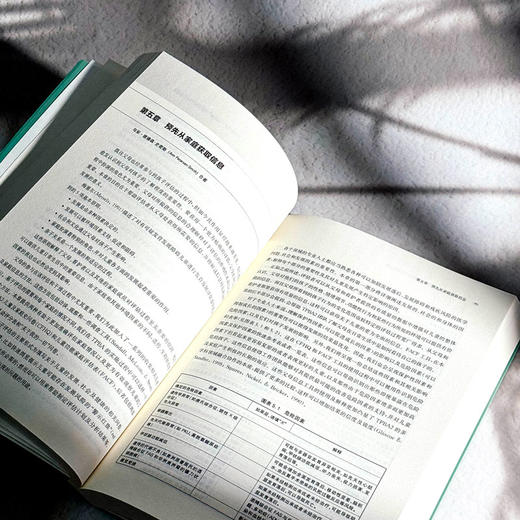 以游戏为基础的多领域融合评估与干预实施指南 儿童早期干预 商品图11