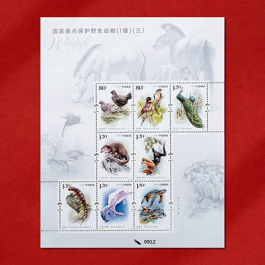 《国家重点保护野生动物（三）》特种邮票 2021-28 商品图2