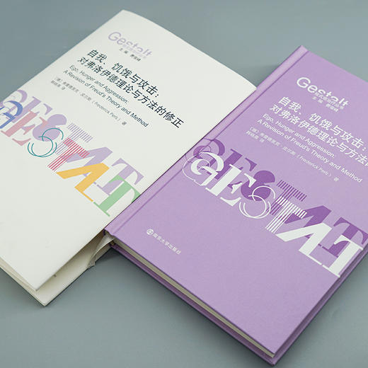 自我、饥饿与攻击：对弗洛伊德理论与方法的修正//格式塔治疗丛书 商品图2