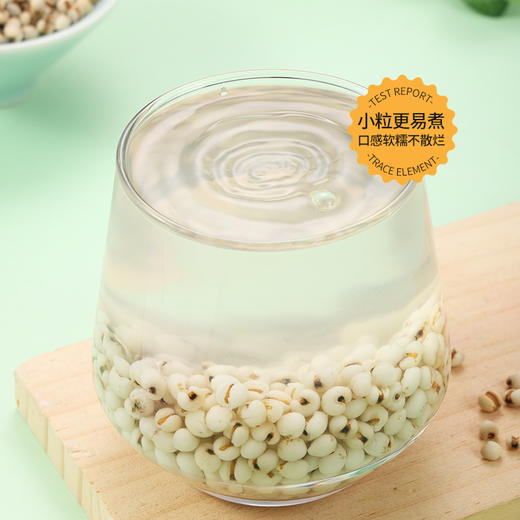 燕之坊有机薏仁贡米900g罐装贵州兴仁甄选颗粒易煮 商品图12