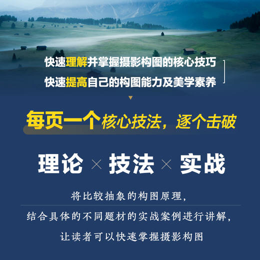 摄影构图核心技法 摄影书籍入门摄影构图拍摄技巧教程数码单反摄影构图教程手机摄影入门旅行风光人像摄影书籍 商品图1