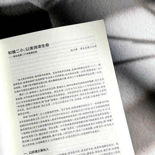 大美育观下的“润雅”课堂教与学体验 赵兴萍 杨孝斌 令狐昌桂 商品图8