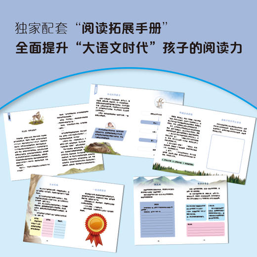 孤勇羊王之英雄悲歌 注音版 沈石溪 动物小说大王fb 安徽少年儿童出版社 商品图2