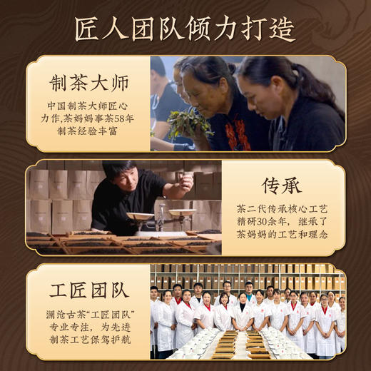 澜沧古茶2024年景迈名片001生茶/0085熟休小胖饼普洱茶云南茶叶古树茶85g 商品图4