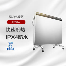 GREE格力 电暖器 NBDE-25B 快热炉 快速制热 IPX4防水 银+黑色