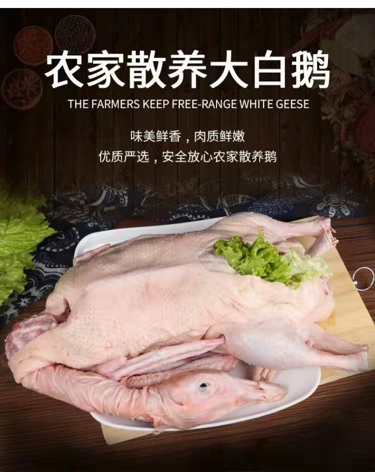 【火遍东北的铁锅炖大鹅来了】农家散养大白鹅 一年以上大鹅(约4-6斤/只) 去毛净膛去内脏 山东发货 顺丰/京东包邮{冷冻生鲜请及时签收}