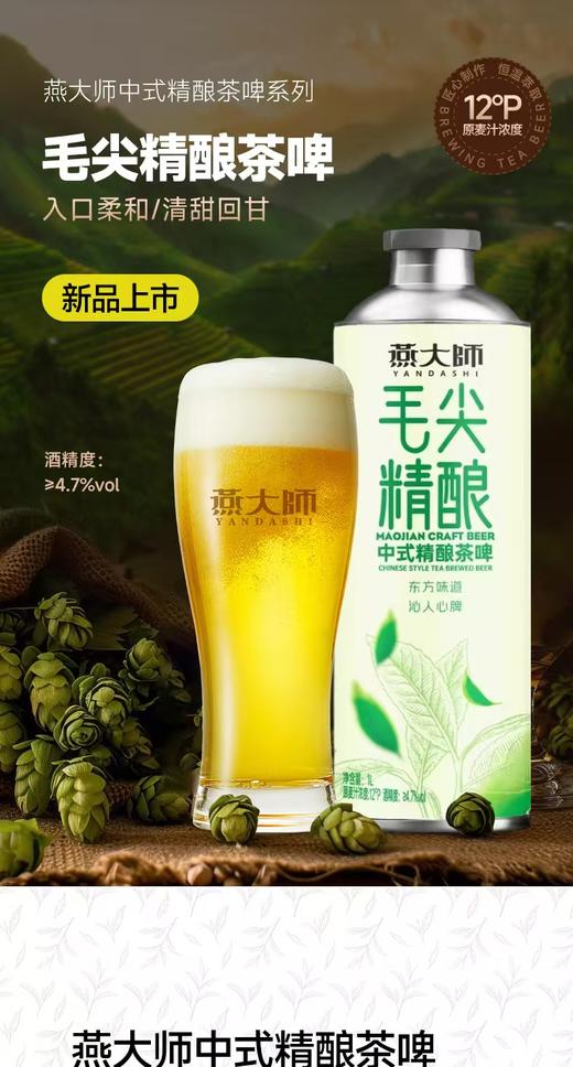 燕大师毛尖茶啤一箱 商品图1
