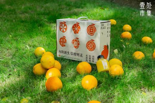 【预售】壹处市集 信橙礼盒8斤装 商品图5