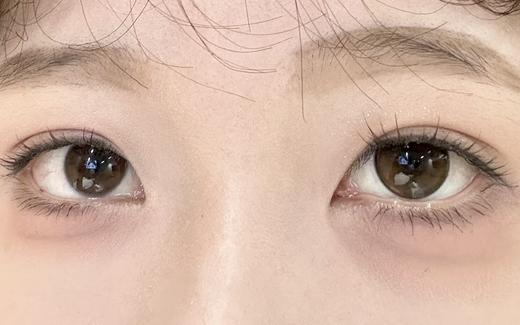 Deekay半年抛新品 · G339&G340｜14.2mm白狮参考着色中等直径｜韩国半年抛 商品图3