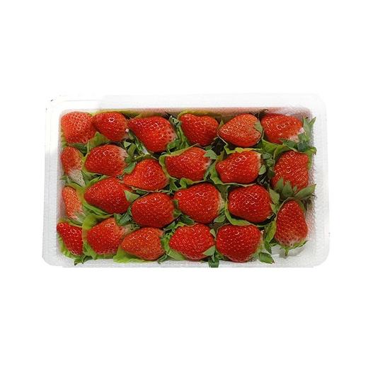 章姬草莓（盒）约500g 商品图0