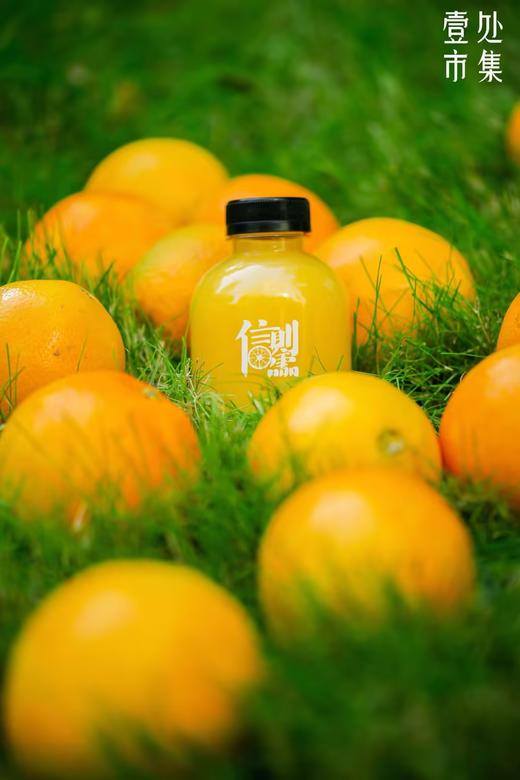 【预售】壹处市集 信橙礼盒8斤装 商品图2