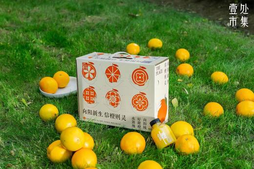 【预售】壹处市集 信橙礼盒8斤装 商品图3