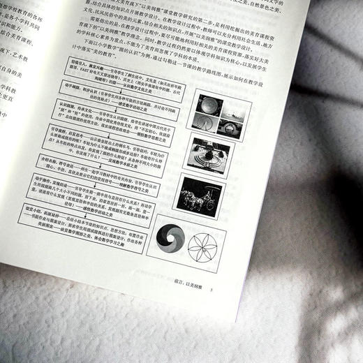 大美育观下的“润雅”课堂教与学体验 赵兴萍 杨孝斌 令狐昌桂 商品图7