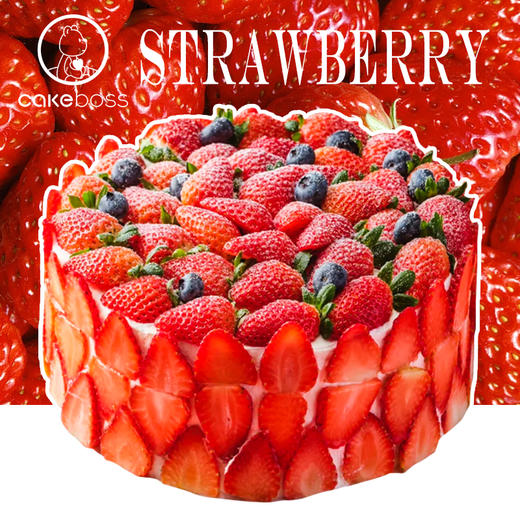 草莓多多水果动物奶油生日蛋糕 商品图0