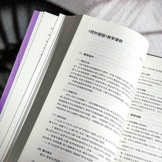 大美育观下的“润雅”课堂教与学体验 赵兴萍 杨孝斌 令狐昌桂 商品图11